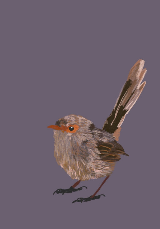 Fairy Wren Greeting Card