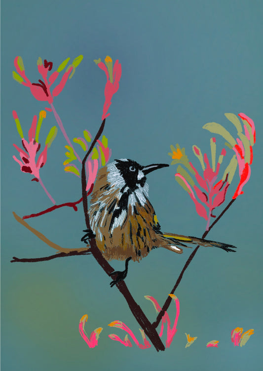 New Holland Honey Eater Greeting Card