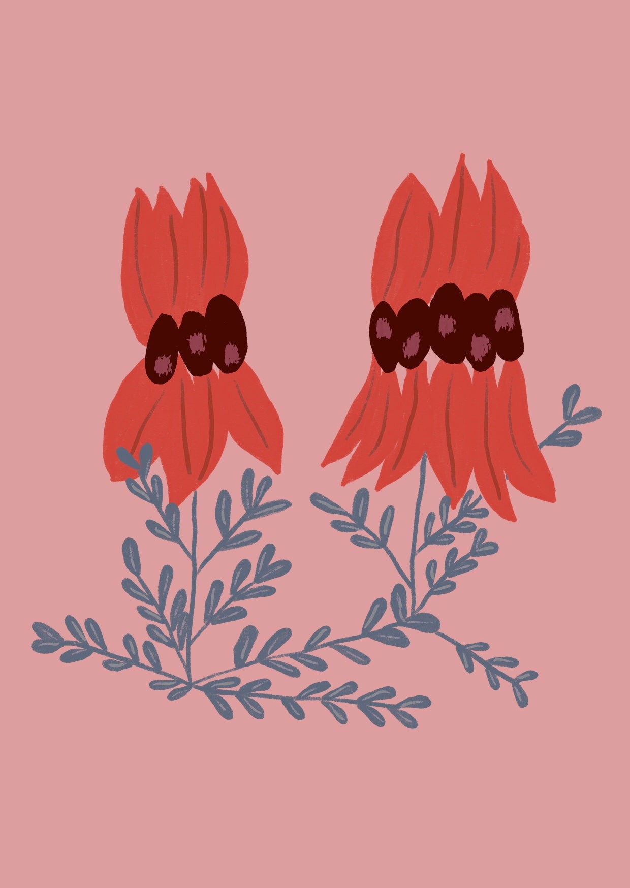 Sturt Desert Pea Greeting Card