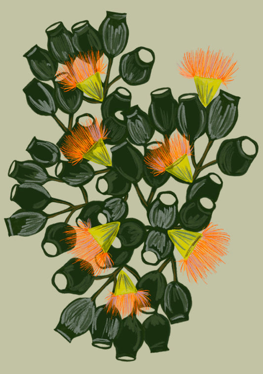 Gumnut Flowers Greeting Card